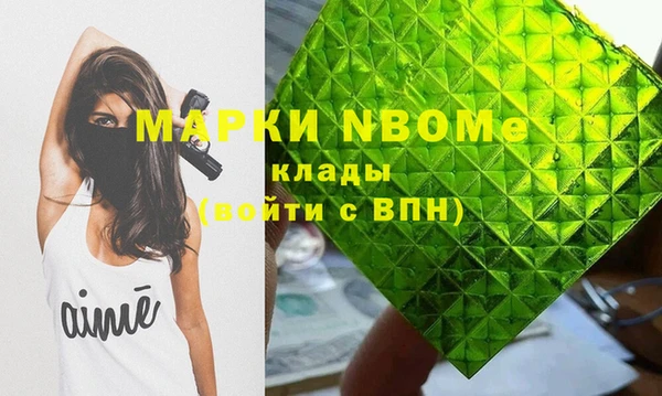 apvp Дегтярск