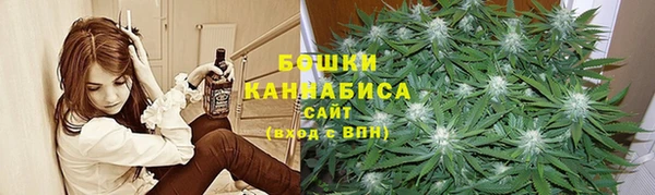 дмт Дедовск
