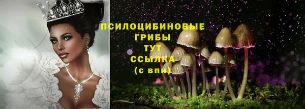 apvp Дегтярск