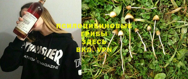 apvp Дегтярск