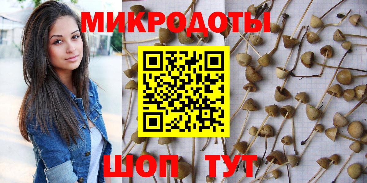 Галлюциногенные грибы Magic Shrooms Карпинск