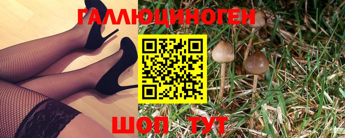 Псилоцибиновые грибы мухоморы  Псилоцибиновые грибы ЛСД  сколько стоит  Карпинск  Вход с VPN 